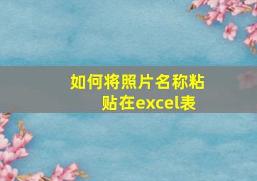 如何将照片名称粘贴在excel表