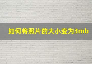 如何将照片的大小变为3mb