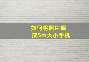 如何将照片调成5m大小手机