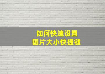 如何快速设置图片大小快捷键