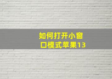 如何打开小窗口模式苹果13