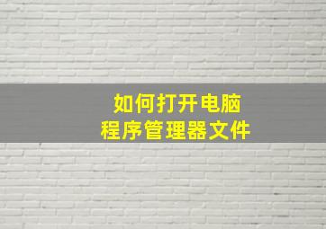 如何打开电脑程序管理器文件