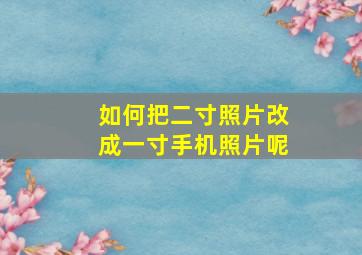 如何把二寸照片改成一寸手机照片呢