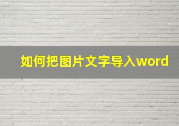 如何把图片文字导入word