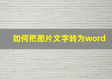 如何把图片文字转为word