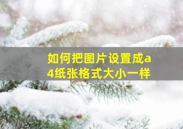 如何把图片设置成a4纸张格式大小一样