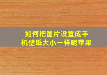 如何把图片设置成手机壁纸大小一样呢苹果