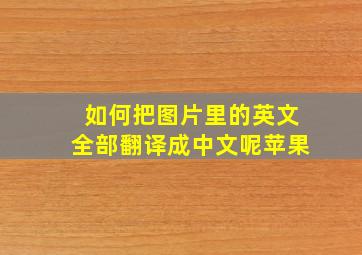 如何把图片里的英文全部翻译成中文呢苹果