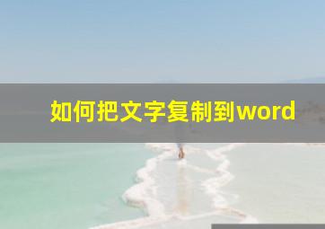 如何把文字复制到word