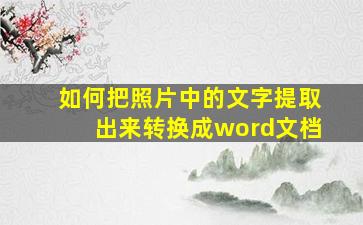 如何把照片中的文字提取出来转换成word文档