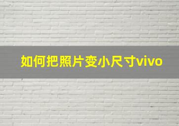 如何把照片变小尺寸vivo