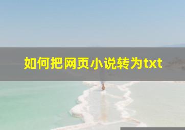 如何把网页小说转为txt