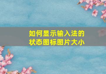 如何显示输入法的状态图标图片大小