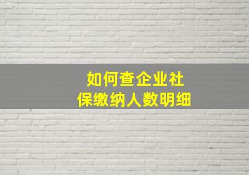 如何查企业社保缴纳人数明细