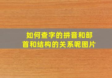 如何查字的拼音和部首和结构的关系呢图片