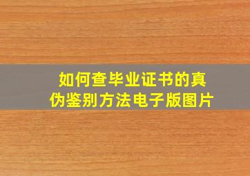 如何查毕业证书的真伪鉴别方法电子版图片