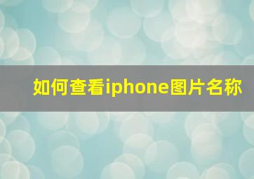 如何查看iphone图片名称