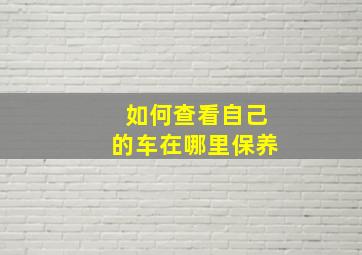 如何查看自己的车在哪里保养