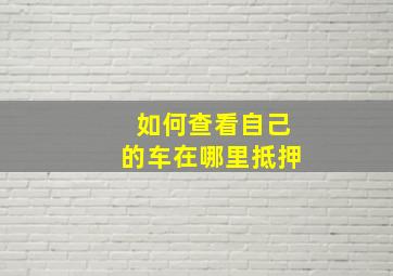 如何查看自己的车在哪里抵押