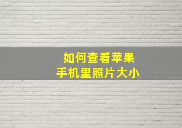 如何查看苹果手机里照片大小