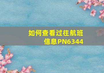 如何查看过往航班信息PN6344