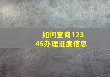 如何查询12345办理进度信息