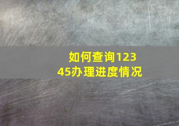 如何查询12345办理进度情况