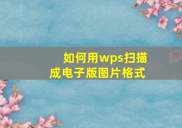 如何用wps扫描成电子版图片格式