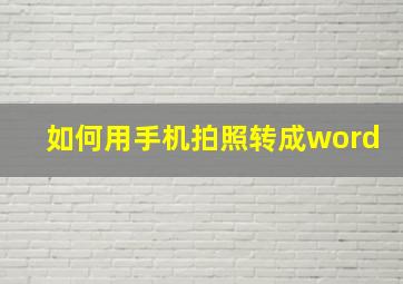 如何用手机拍照转成word