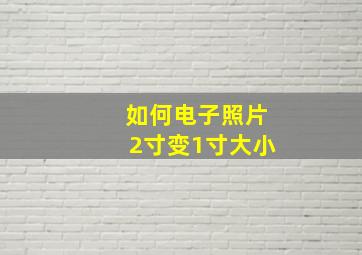 如何电子照片2寸变1寸大小