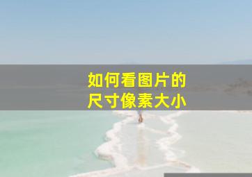 如何看图片的尺寸像素大小