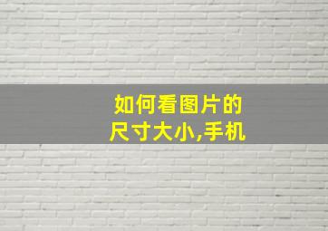 如何看图片的尺寸大小,手机