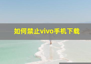 如何禁止vivo手机下载