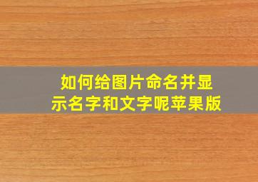 如何给图片命名并显示名字和文字呢苹果版