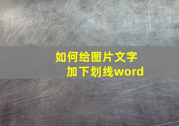 如何给图片文字加下划线word