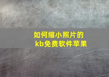 如何缩小照片的kb免费软件苹果