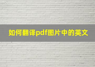 如何翻译pdf图片中的英文