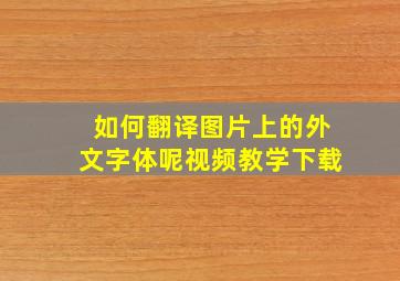 如何翻译图片上的外文字体呢视频教学下载