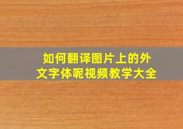 如何翻译图片上的外文字体呢视频教学大全