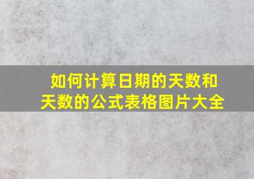 如何计算日期的天数和天数的公式表格图片大全