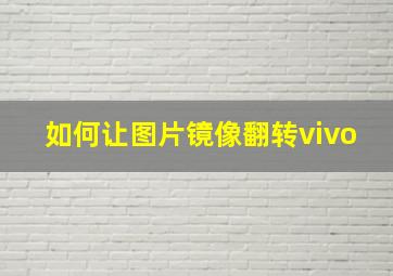 如何让图片镜像翻转vivo