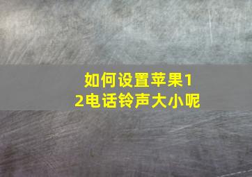 如何设置苹果12电话铃声大小呢