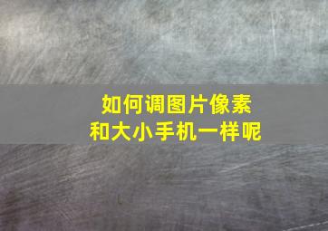 如何调图片像素和大小手机一样呢