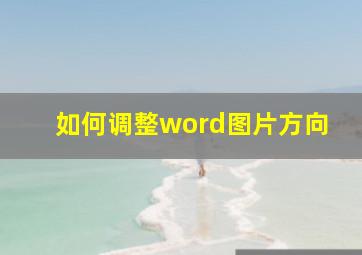 如何调整word图片方向