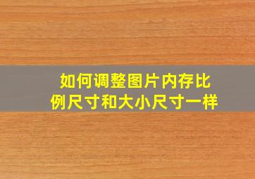 如何调整图片内存比例尺寸和大小尺寸一样