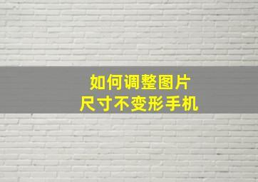 如何调整图片尺寸不变形手机