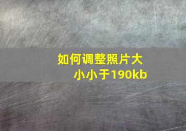 如何调整照片大小小于190kb