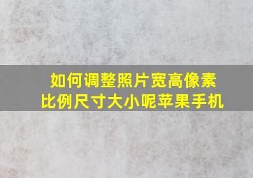 如何调整照片宽高像素比例尺寸大小呢苹果手机