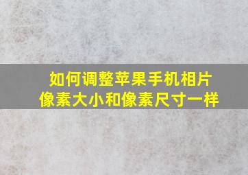 如何调整苹果手机相片像素大小和像素尺寸一样