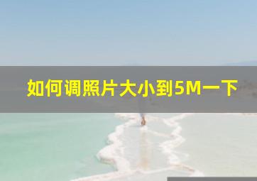 如何调照片大小到5M一下